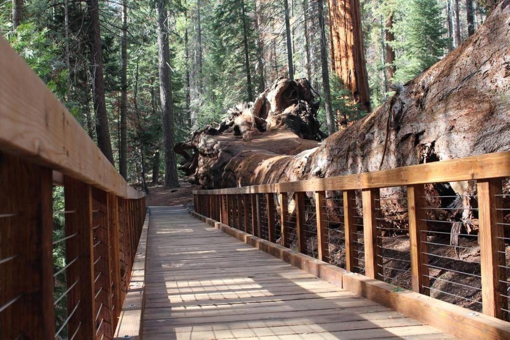 Вілла Shirley Creek Retreat: A Mountain Oasis Wofford Heights Екстер'єр фото