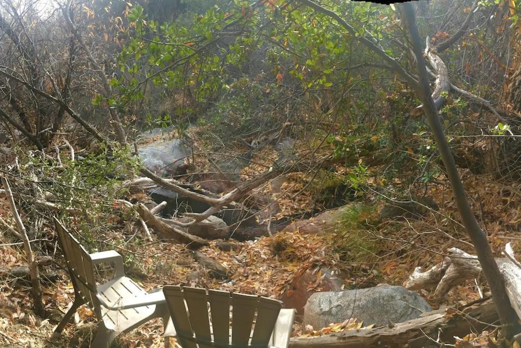 Вілла Shirley Creek Retreat: A Mountain Oasis Wofford Heights Екстер'єр фото